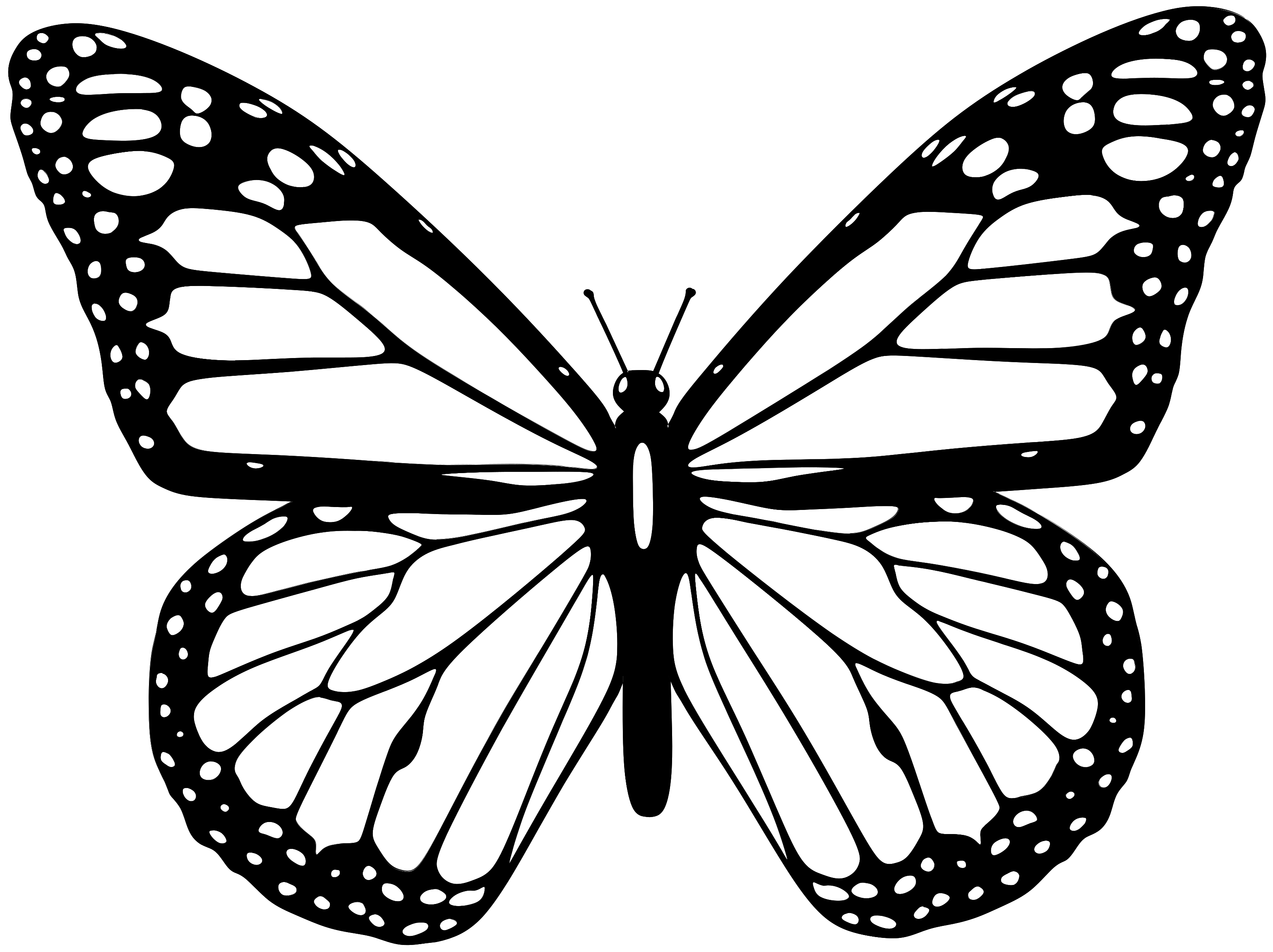 Moth Transparent PNG Image