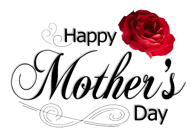 Download Flower Mothers Petal Fathers Mother Day Hq Png Image Freepngimg