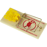 Mouse trap