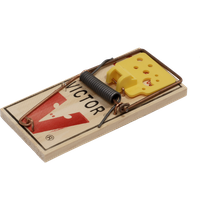 Mouse trap