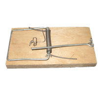 Mouse trap PNG