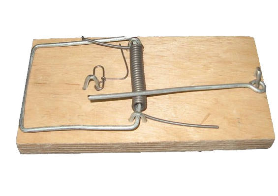 Mouse trap Transparent PNG Image