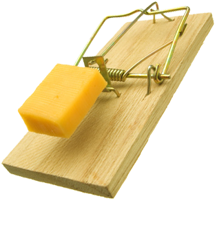 Mouse trap Transparent PNG Image