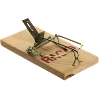 Mouse trap PNG