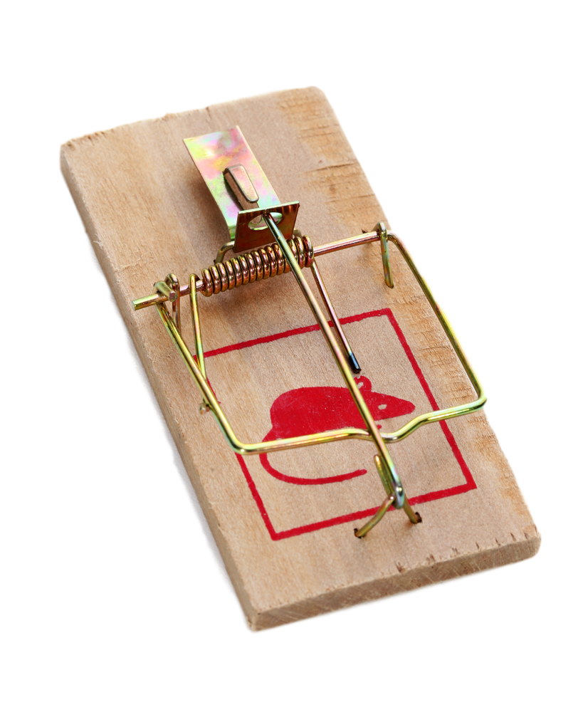 Mouse trap Transparent PNG Image