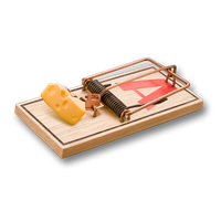 Mouse trap PNG