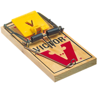 Mouse trap Transparent PNG Image
