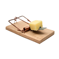 Mouse trap PNG