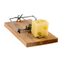 Mouse trap Transparent PNG Image