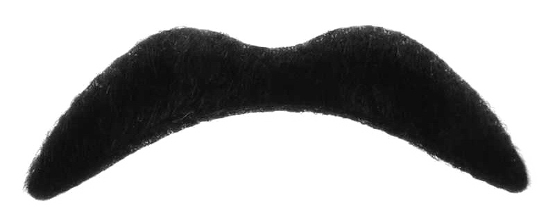 Fake Moustache HQ Image Free PNG PNG Image