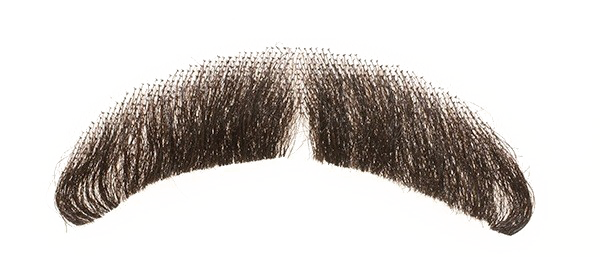 Fake Moustache Free PNG HQ PNG Image