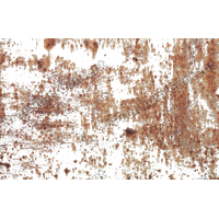Mud Transparent PNG Image
