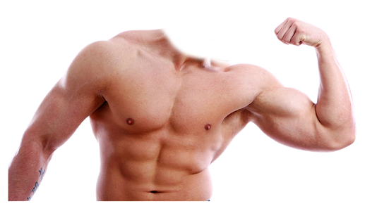 Muscle Transparent PNG Image