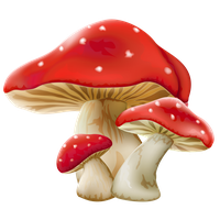 Mushroom Png Picture PNG Image