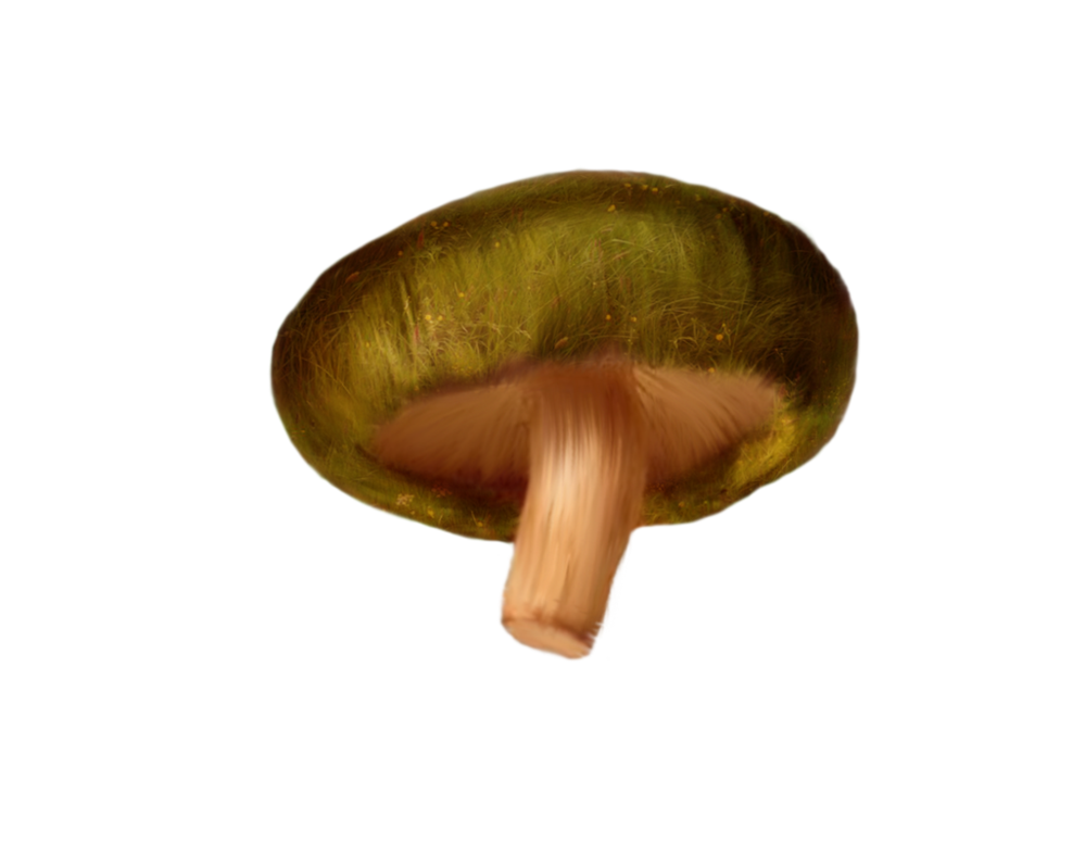 Mushroom Clipart PNG Image