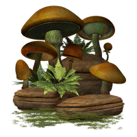 Mushroom PNG Image