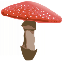 Amanita Muscaria File