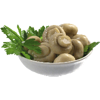 Mushroom Png Image Transparent PNG Image