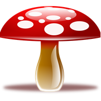 Mushroom Picture PNG Image