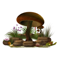 Mushroom Png Clipart PNG Image