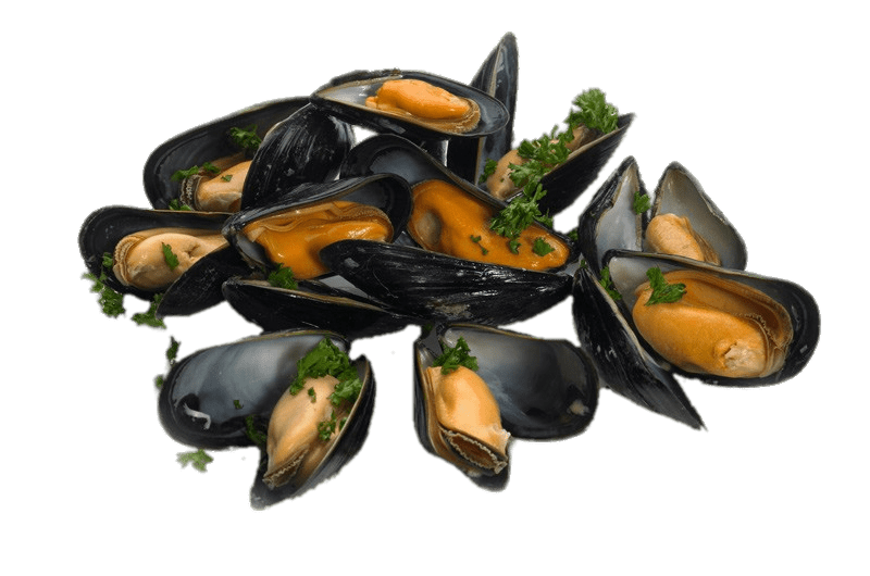 Mussel Transparent PNG Image