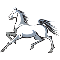 Mustang Horse Transparent Transparent PNG Image