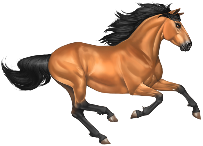 Mustang Horse Image PNG Image