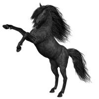 Mustang, Quot;, O Cavalo PNG, Png Malásia Imagens Vetoriais