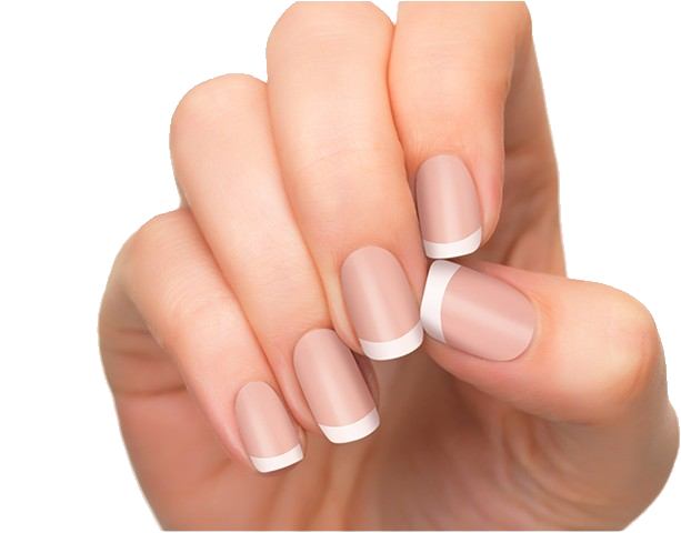 Nails Transparent PNG Image