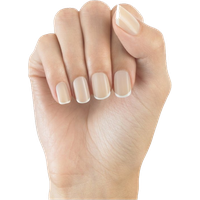 Nails Transparent PNG Image
