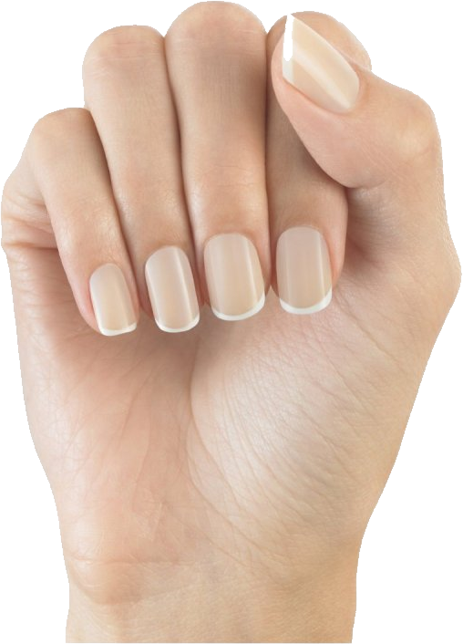 Nails Transparent PNG Image