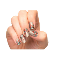 Nails manicure Transparent PNG Image
