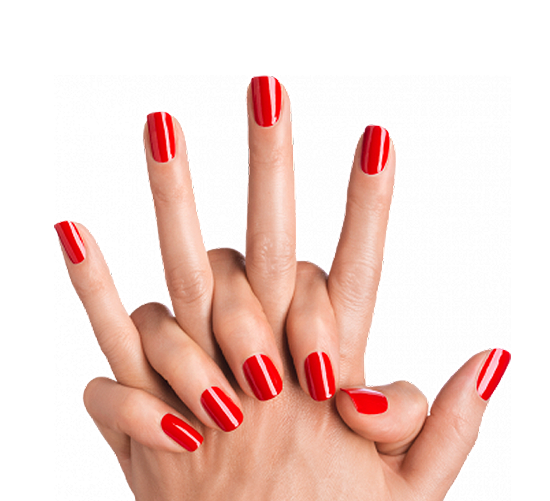 Nails Transparent PNG Image