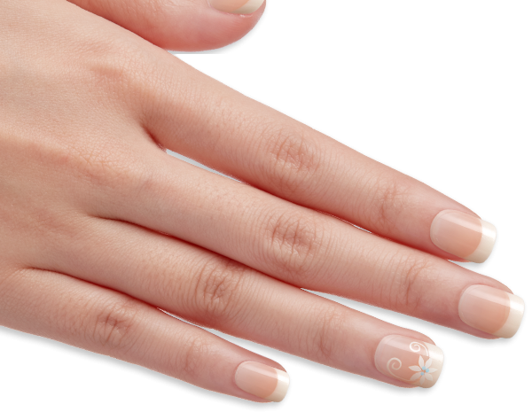 Nails Transparent PNG Image