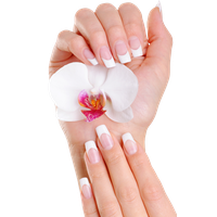 Nails Transparent PNG Image