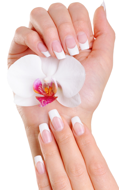 Nails Transparent PNG Image