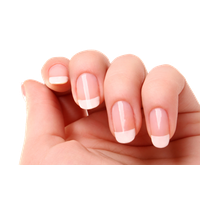 Nails Transparent PNG Image