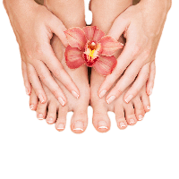 Nails PNG