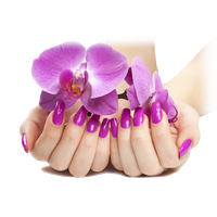 Nails manicure Transparent PNG Image