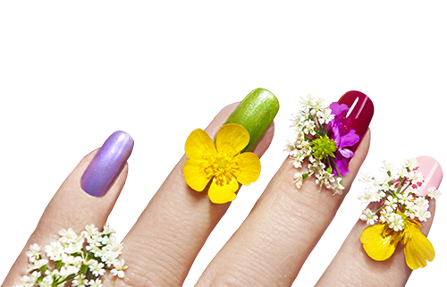 Nails manicure Transparent PNG Image