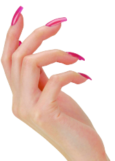 Nails Transparent PNG Image