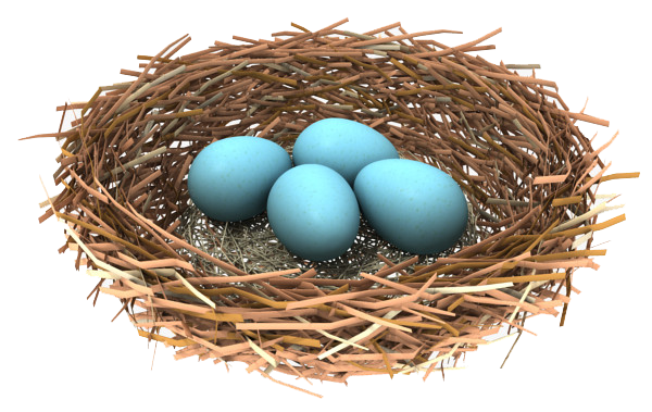 Blue Eggs Nest Bird Free Transparent Image HD PNG Image