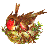 Download Nest Free PNG photo images and clipart | FreePNGImg