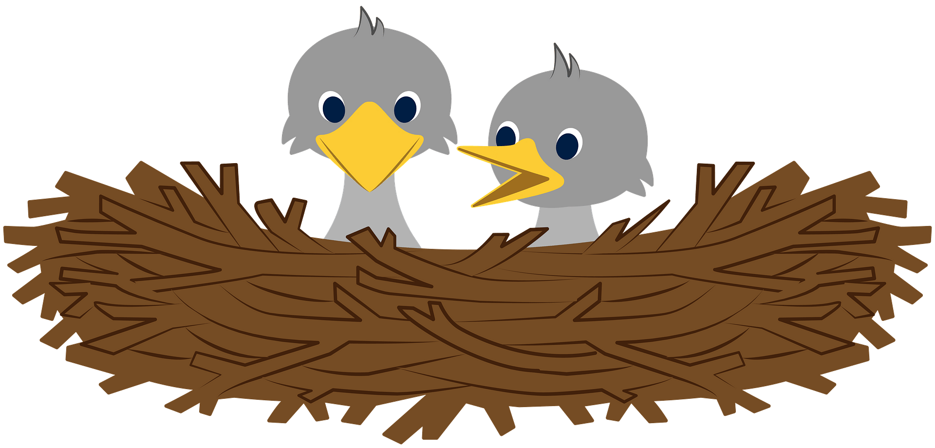 Nest Hatchlings Bird Free Download PNG HD PNG Image