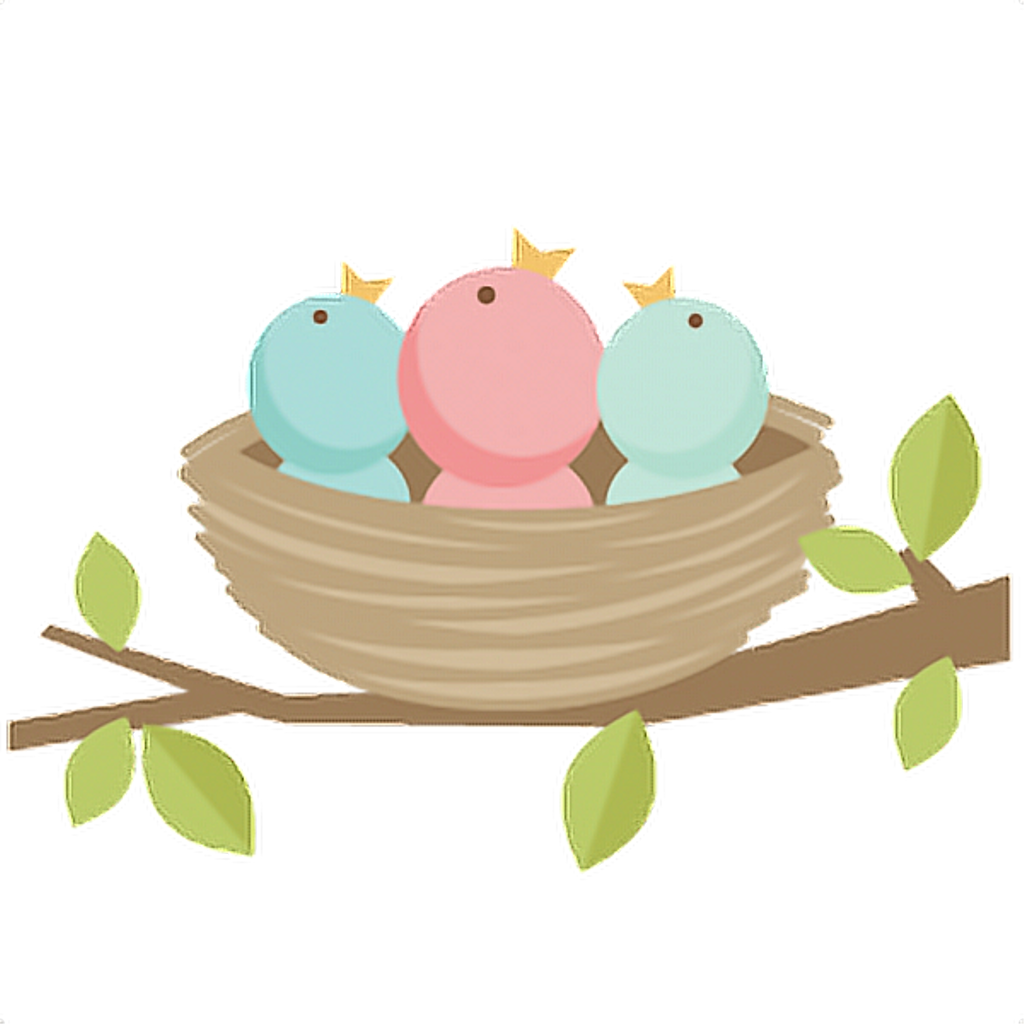 Nest Bird Free Download PNG HD PNG Image