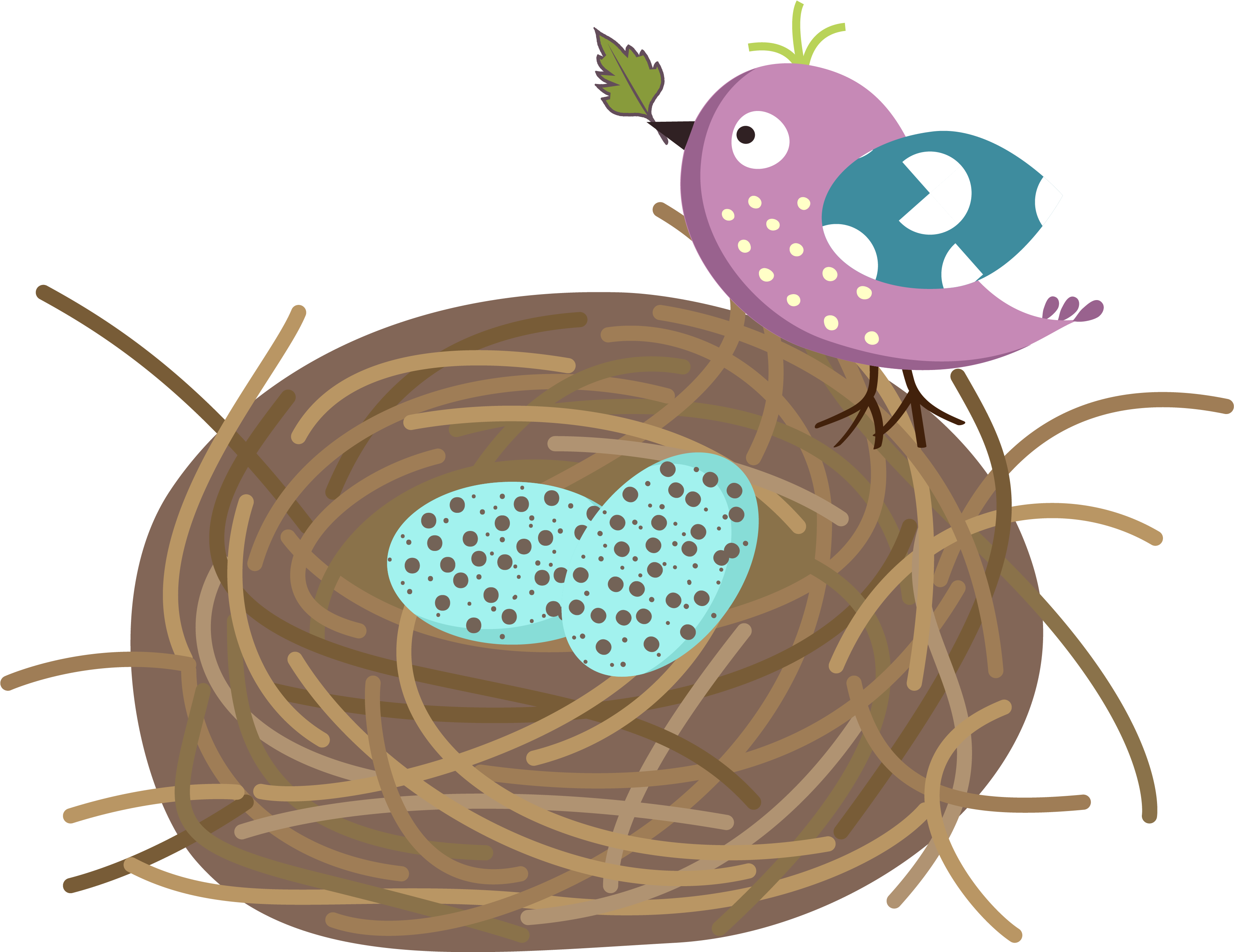 Nest Vector Bird Free HD Image PNG Image