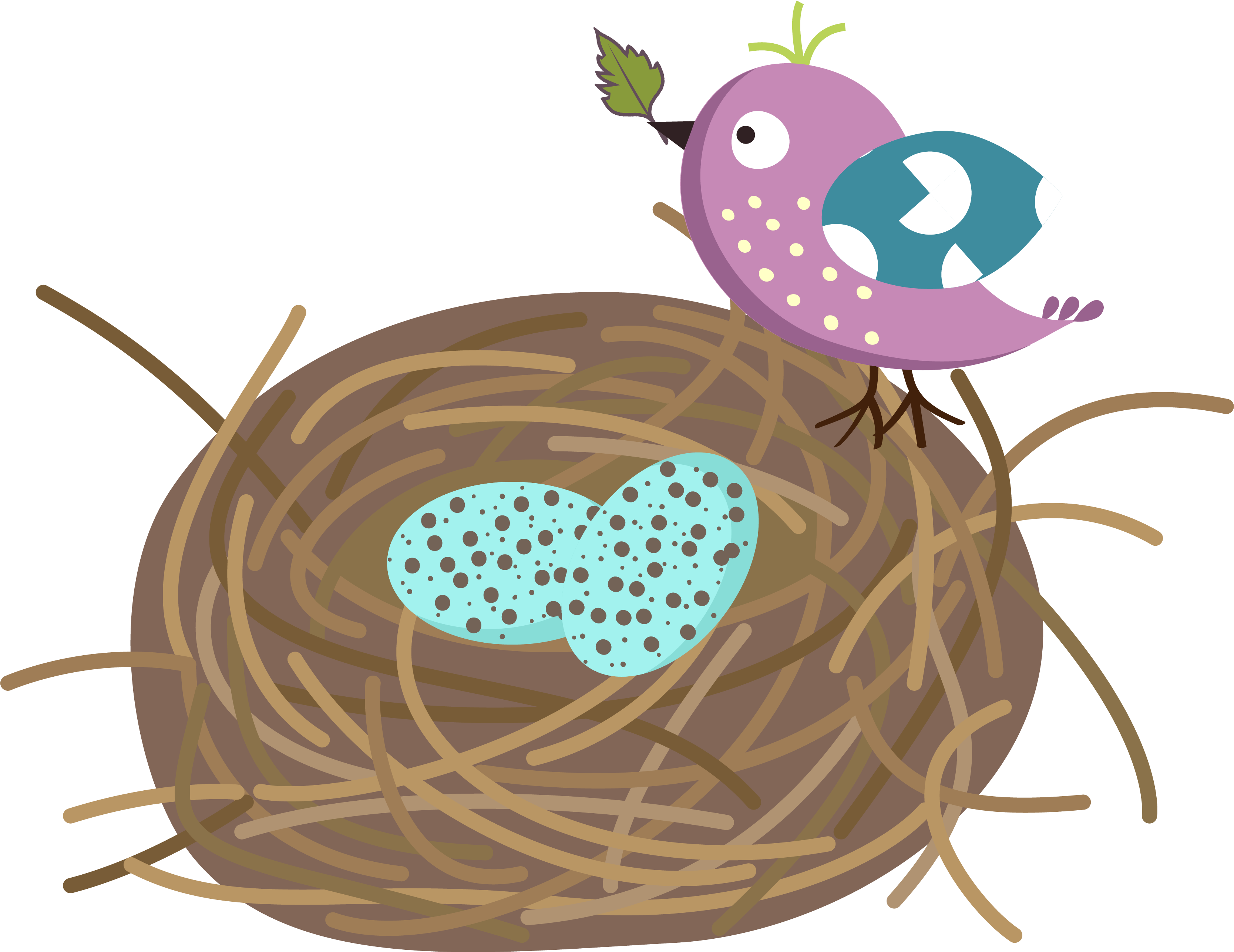 Nest Vector Bird Free HD Image Transparent PNG Image