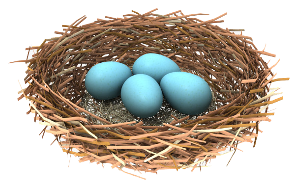 Nest Transparent Image PNG Image