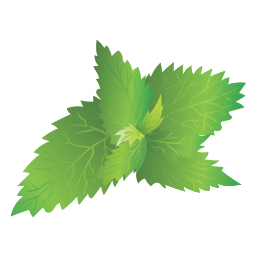 Nettle Transparent PNG Image