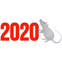New Year PNG